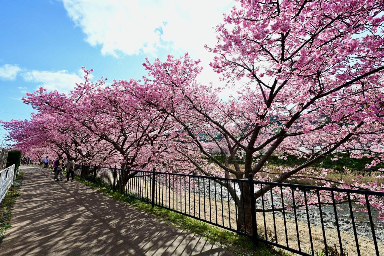 Villa Shobuzawa Log Kawazu Esterno foto