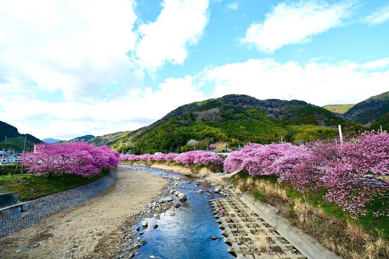 Villa Shobuzawa Log Kawazu Esterno foto